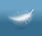 Light white feather. Vector