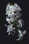 Light white hyacinth flower on a black background.