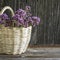 Light wicker basket with a bouquet of blossoming oregano on dark wooden background