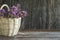 Light wicker basket with a bouquet of blossoming oregano on dark wooden background