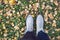 light women shoes in autumn among green grass and orange leave