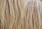 Light yellow horse hair. Horse mane