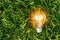 lightbulb on green grass. concept energy