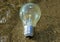 Lightbulb or idea who has survived in water, a bit light left in the bulb