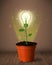 Lightbulb plant coming out of flowerpot