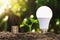 lightbulb with young plant and money stack on soil. concept saving energy