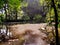 Lighted dirty deep pond in the forest.