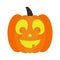 Lighted Halloween Jack O` Lantern Pumpkin