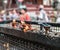 Lighted lamps on metal grille in Kathmandu, Nepal