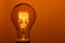 Lighted vintage incandescent bulb