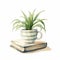 Lighthearted Children Book Drawing Of Spider Plant In Cup