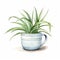 Lighthearted Watercolor Illustration Of Spider Plant In A Mug