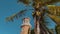 lighthouse against a clear sky, palm trees with coconuts swaying in the wind in the foreground