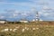 Lighthouse and Beacon of Ouessant, the island of Ushant, in Brittany, french rocky beach in northern France, Finistere