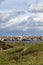 Lighthouse and Beacon of Ouessant, the island of Ushant, in Brittany, french rocky beach in northern France, Finistere