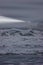 Lighthouse beam cuts through the fog on a stormy evening