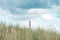 Lighthouse Bornrif Ameland, sea landscape, clear blue cloudy sky in the dunes, high dune grass