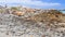 Lighthouse Cape Agulhas in South Africa.