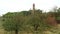 Lighthouse of Cape Arkona at Putgarten. Fields and meadow around. Autumn leave. Baltic sea coast. (Mecklenburg-Vorpommern, Ge