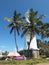 Lighthouse covered by palm trees