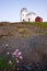 Lighthouse at dusk with flowers in foreground