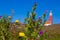 Lighthouse Eierland on the dutch island Texel