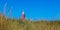 Lighthouse Eierland on the dutch island Texel