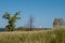 Lighthouse at end of pier, autumn grass, trees without leaves and blue sky