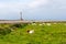 Lighthouse of Goury at Cap de la Hague