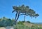 Lighthouse,Hiddensee Island,Germany