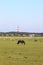 Lighthouse of Hollum, Ameland, Holland