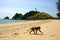 Lighthouse on the island of Koh Lanta in Thailand