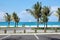 Lighthouse Island Palm Trees Parking Lot Bahamas