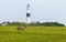 Lighthouse `Langer Christian` inside a Dune Landscape with Farm and Horses. On a clear day.