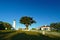 Lighthouse, macrocarpa tree and house on Tiritiri Matangi Island open nature reserve, New Zealand