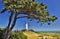 Lighthouse near Kloster (Island Hiddensee - Germany)