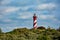 A Lighthouse in the Netherlands with seagulls