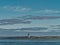 Lighthouse at Oddesund fjord in rural Denmark