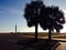 Lighthouse palm tree shot