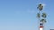 Lighthouse, palm trees and blue sky. Red and white beacon. Waterfront harbor village. California USA