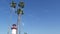 Lighthouse, palm trees and blue sky. Red and white beacon. Waterfront harbor village. California USA