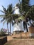 Lighthouse and palm trees in the town of Galle, Sri Lanka. Galle - the largest city and port in the south of Sri Lanka, the