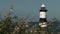 Lighthouse penmon point Beaumaris Wales plants in foreground