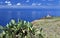 Lighthouse of Ponta do Pargo, Madeira