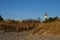 Lighthouse in Sand Dunes