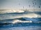 Lighthouse in the sea during windstorm with seagulls. blue sky a