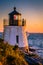 Lighthouse and Seagull at Sunset