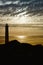 Lighthouse silhouette and seagull