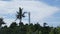 Lighthouse and tropical palms.Malapascua Island