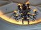 Lighting and ceiling for interior design